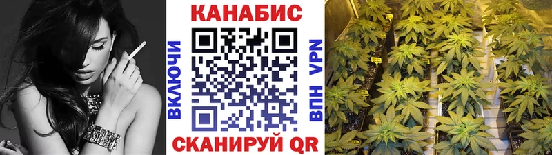 купить наркотики сайты  Валдай  Канабис сатива 